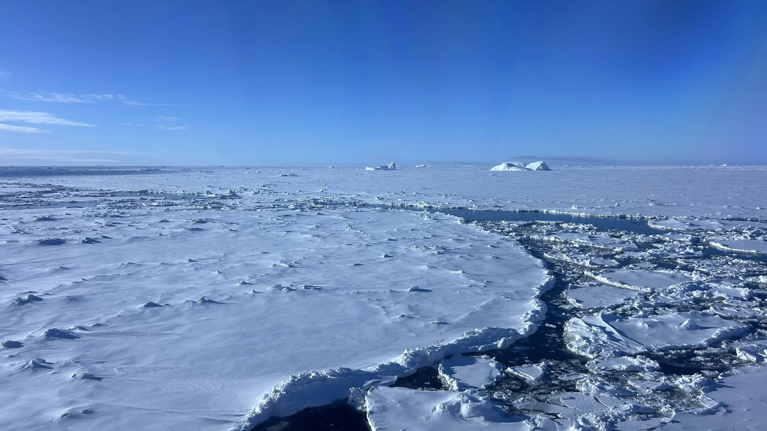 Antarctic sea ice in 2026 and the challenge of predictability