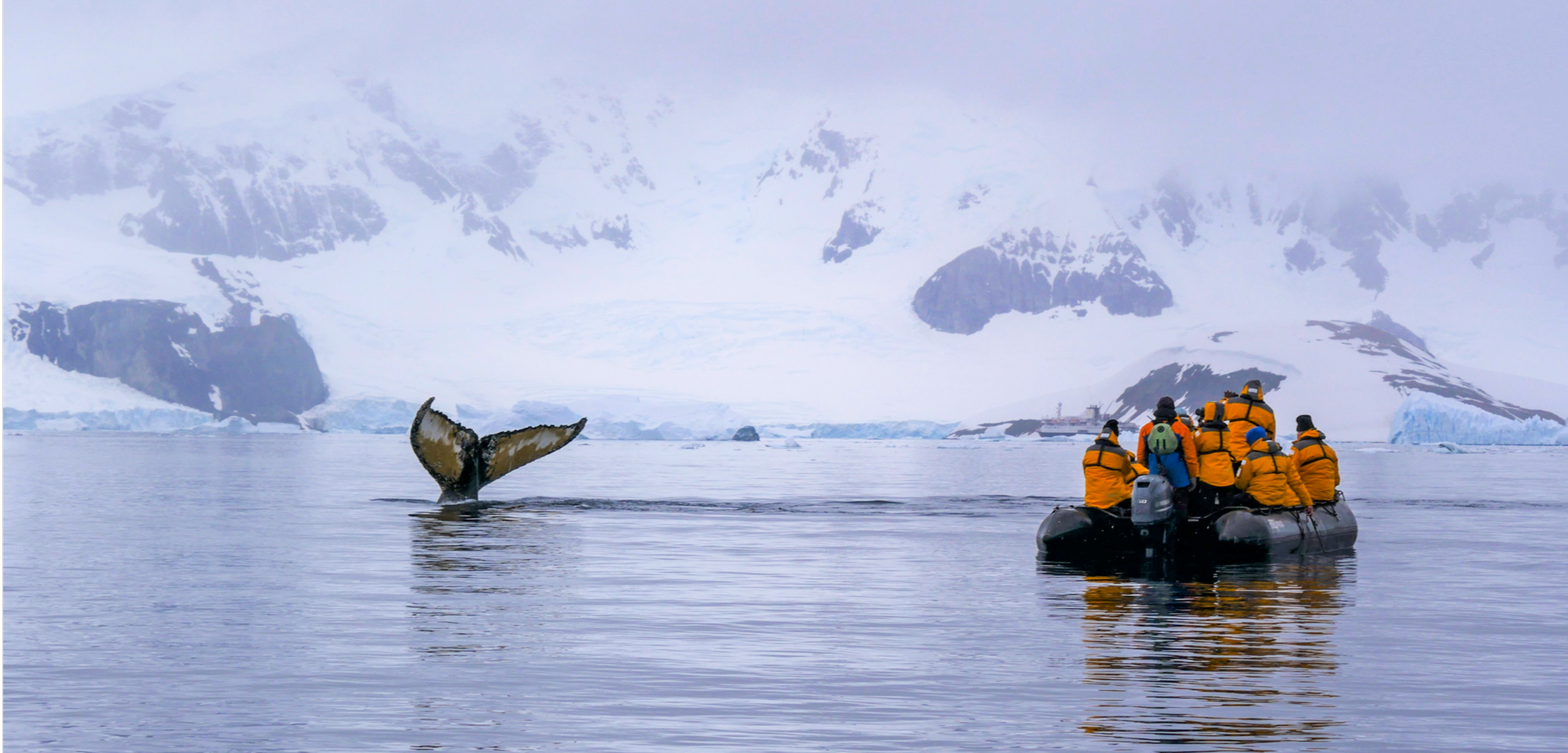 Horizon Scan phase 2: Key social science questions to advance polar forecast services