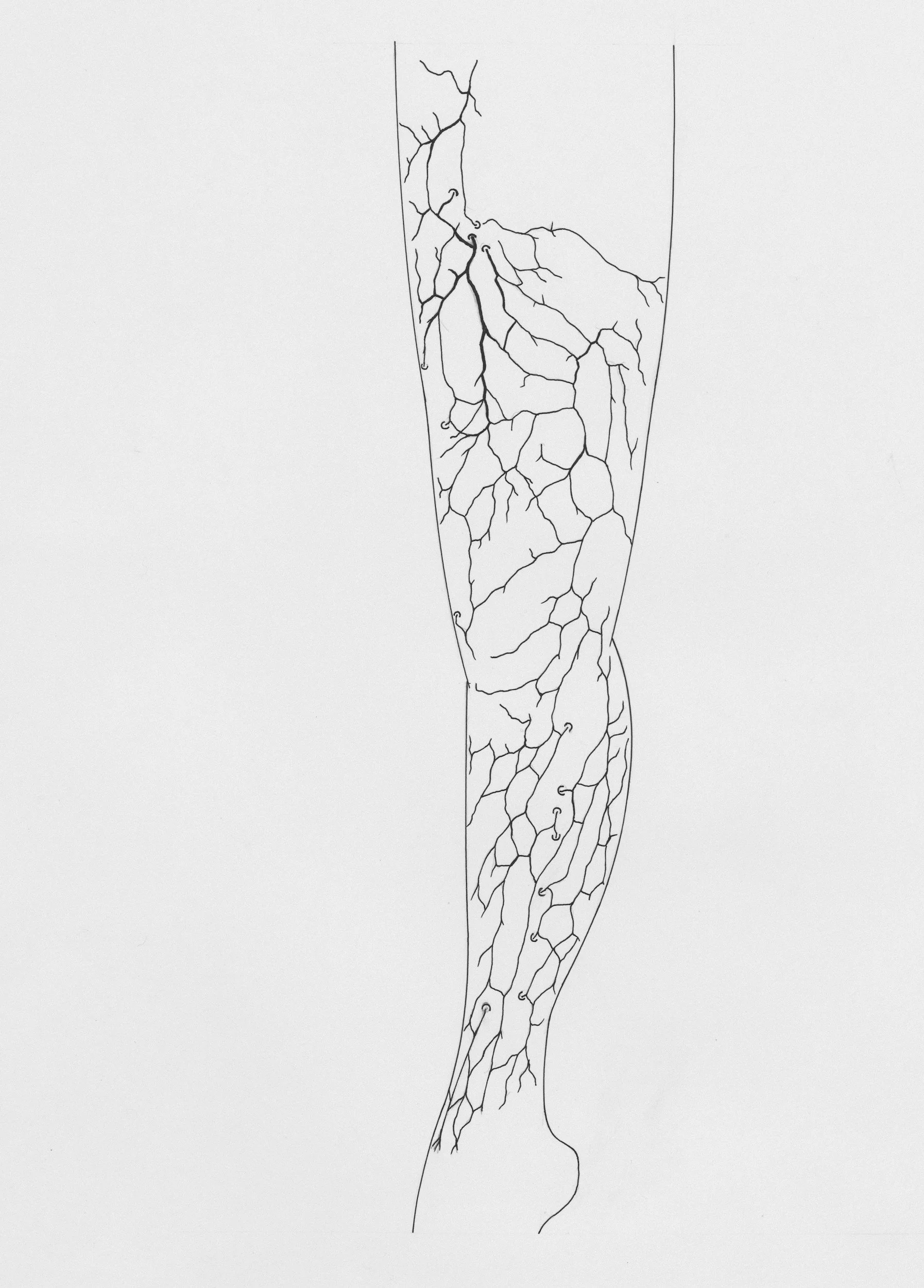 Manual Lymphatic Drainage in Hendersonville, NC: A Gentle Therapy for Swelling, Recovery &amp; Wellness