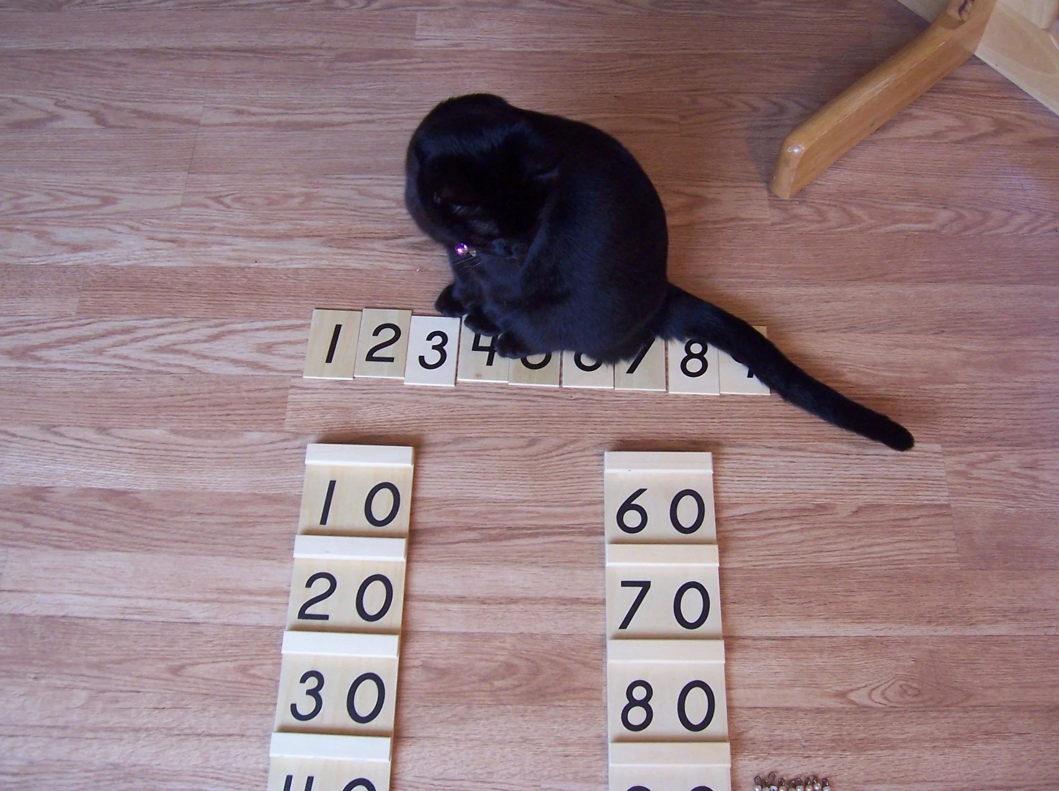 Best Montessori Books I Own