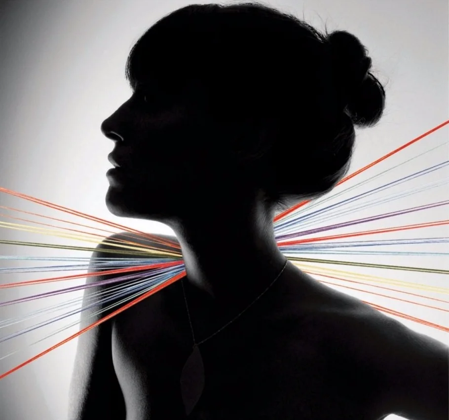 FEIST // I Feel It All