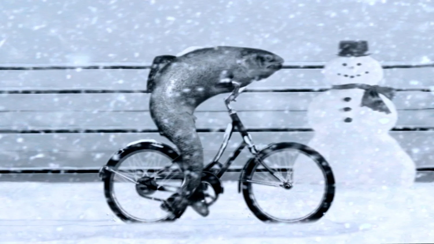 GUINNESS EXTRA COLD // Fishy