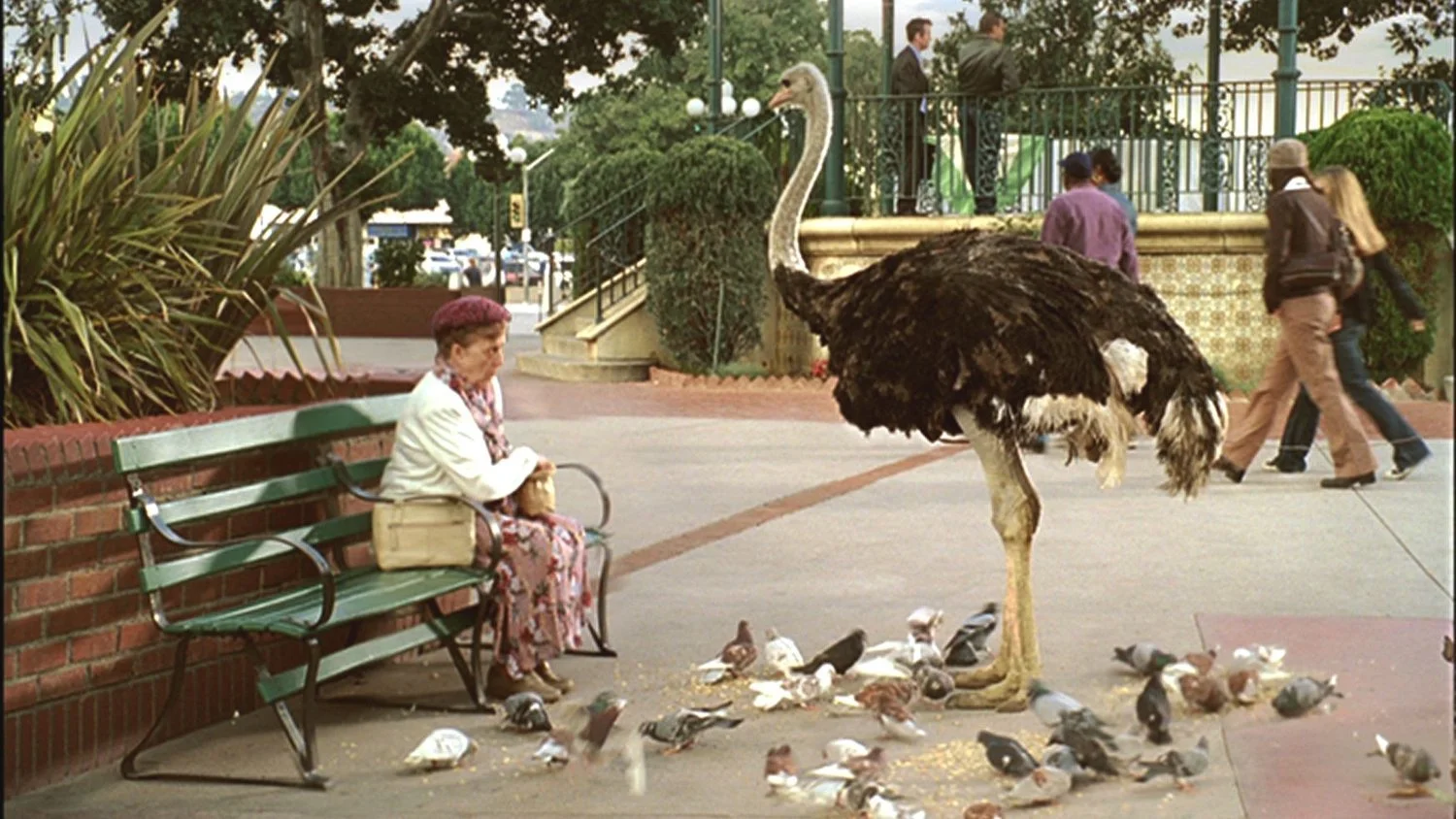 ARBY'S // Zookeepers