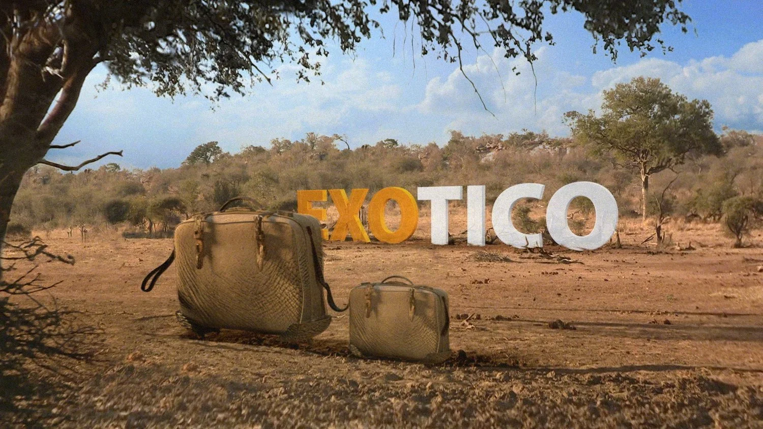 TICO // Wild Suitcases