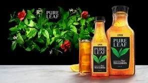 PURE LEAF // Backend