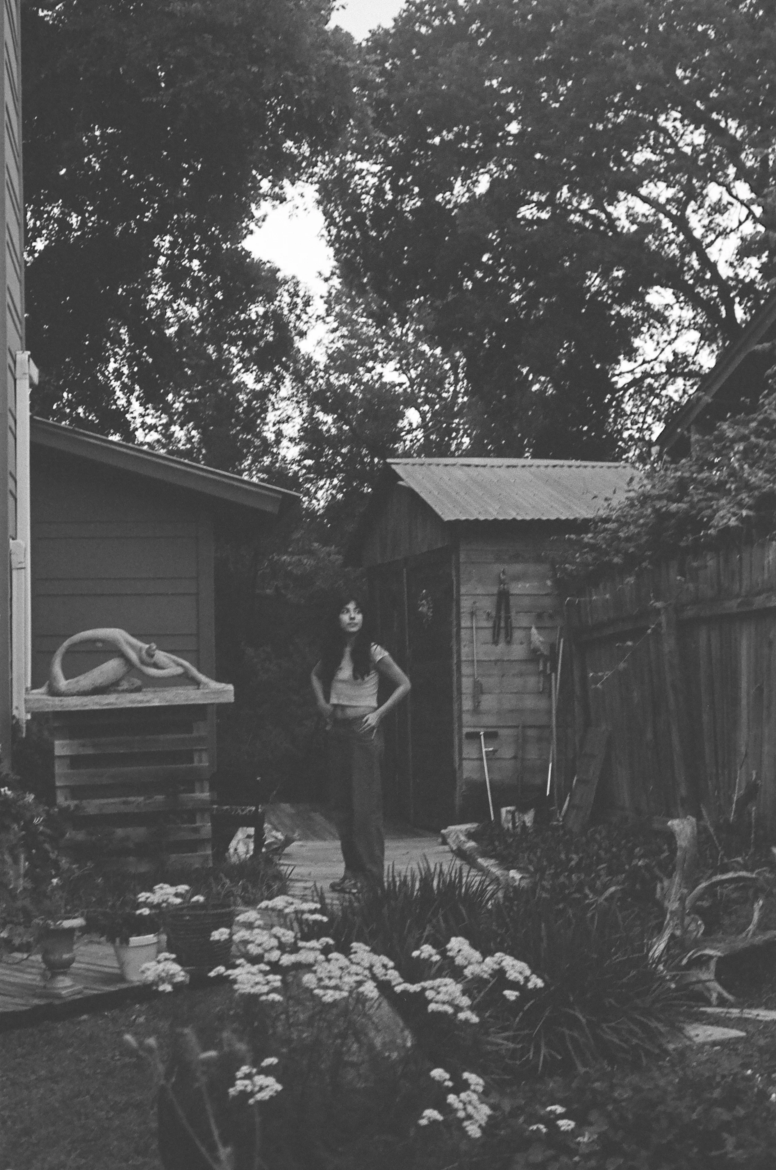 00001657_000016570012 (1).jpg