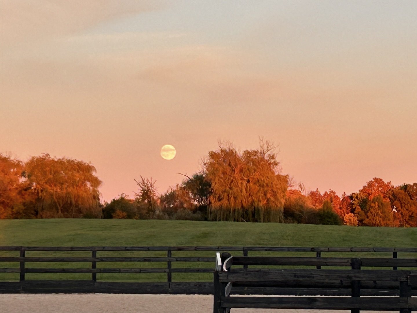 Breathtaking moon over the farm this evening🌚😍