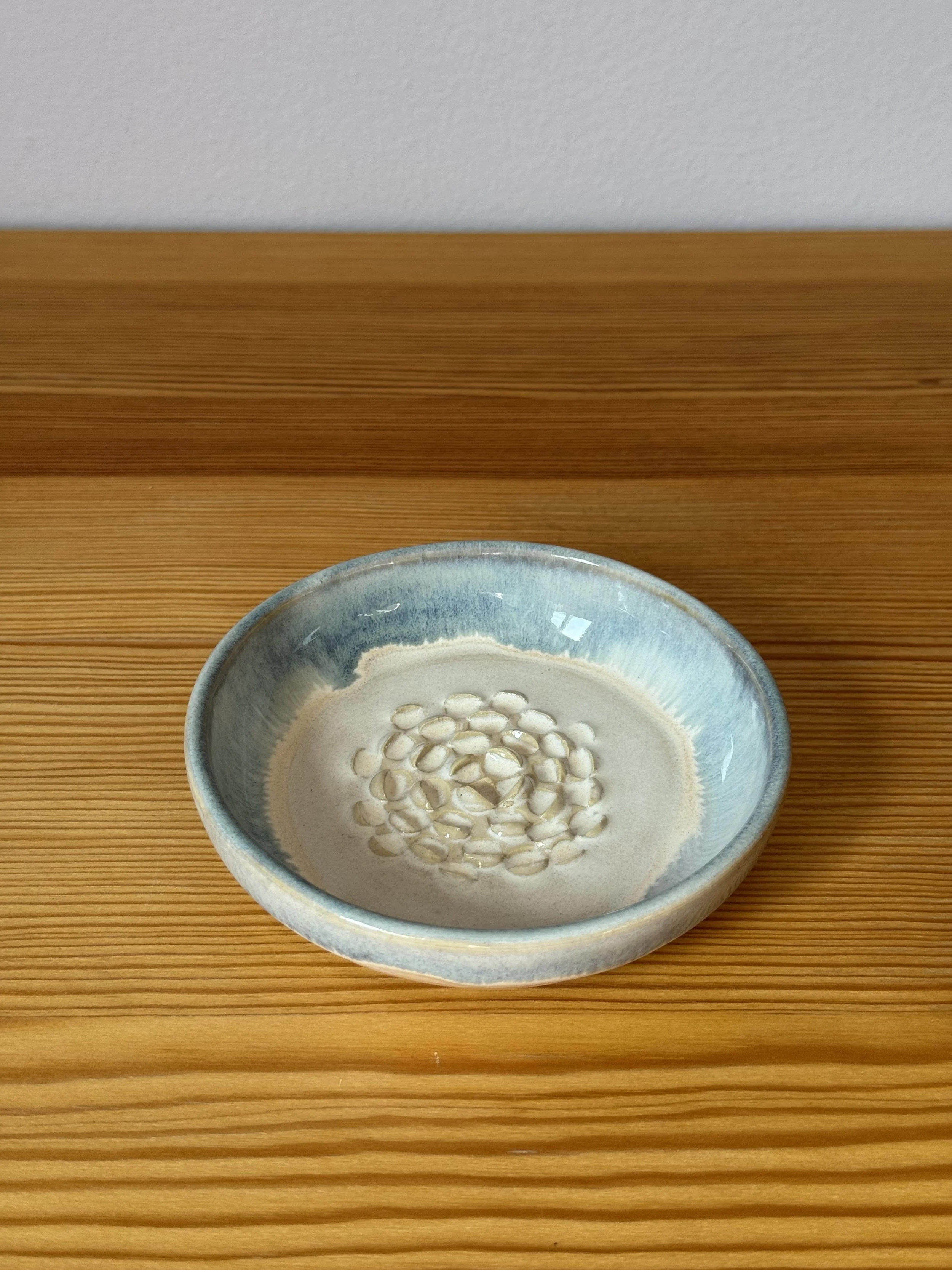 Garlic Grater - Coastal Blue - top.jpeg