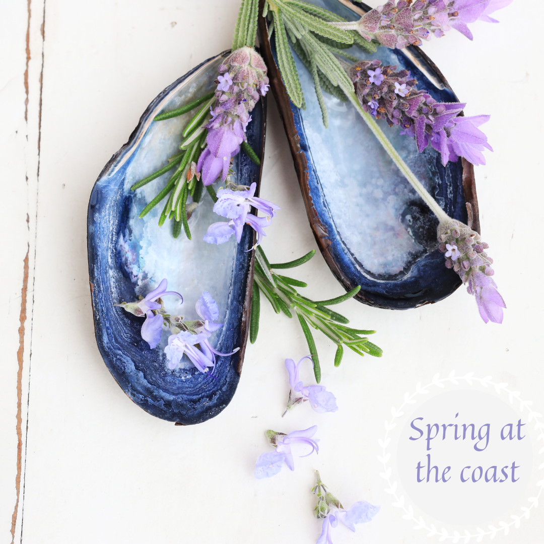 Spring at the coast.png