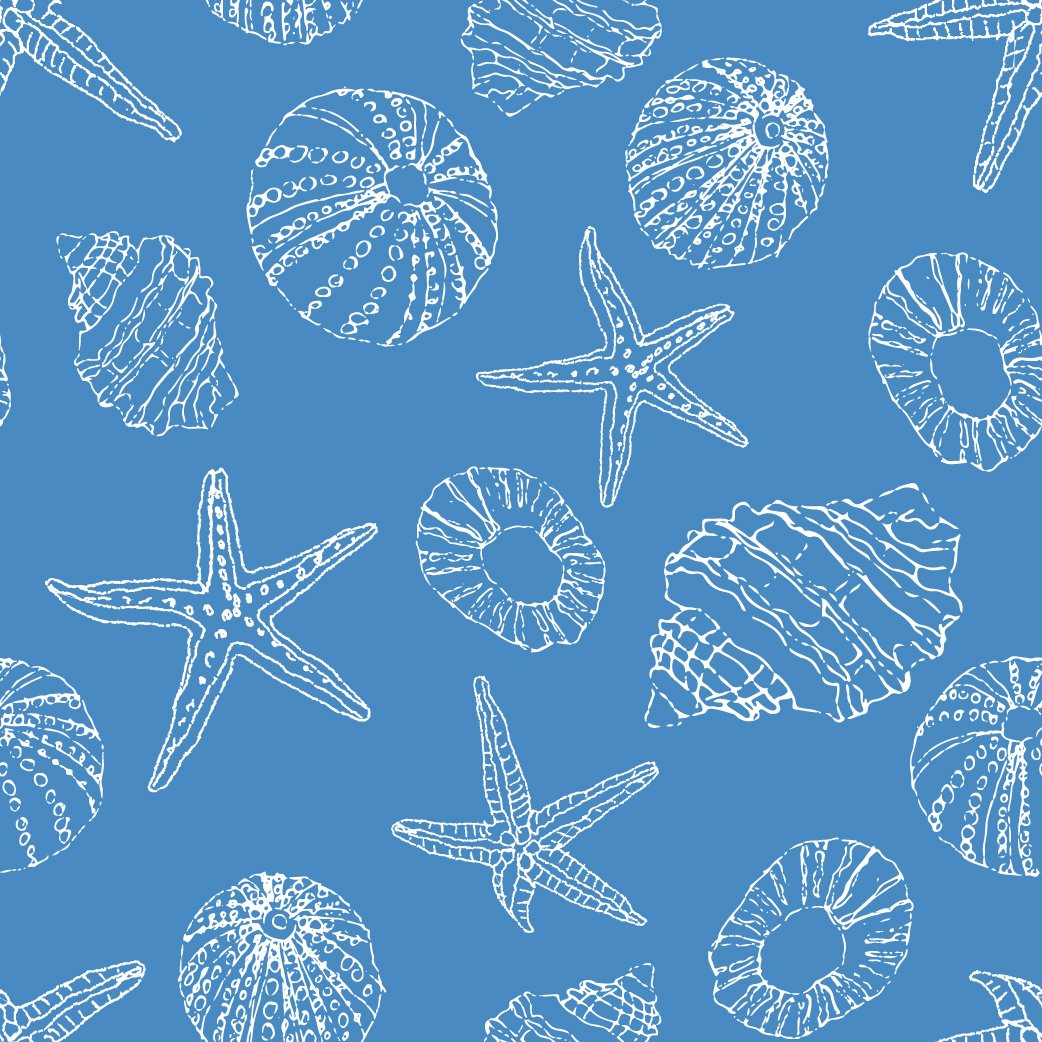 beachboundlightblueshell copy.jpg