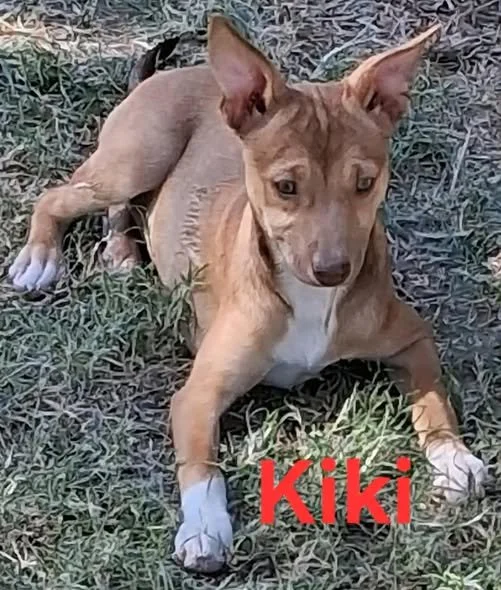 Kiki