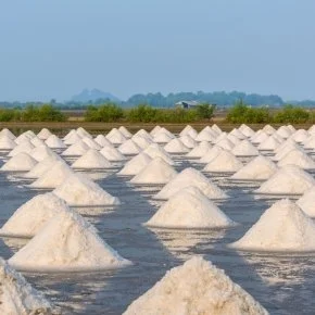 Episode 21: Salt’s Close-Up