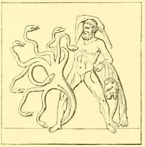 hydra.PNG