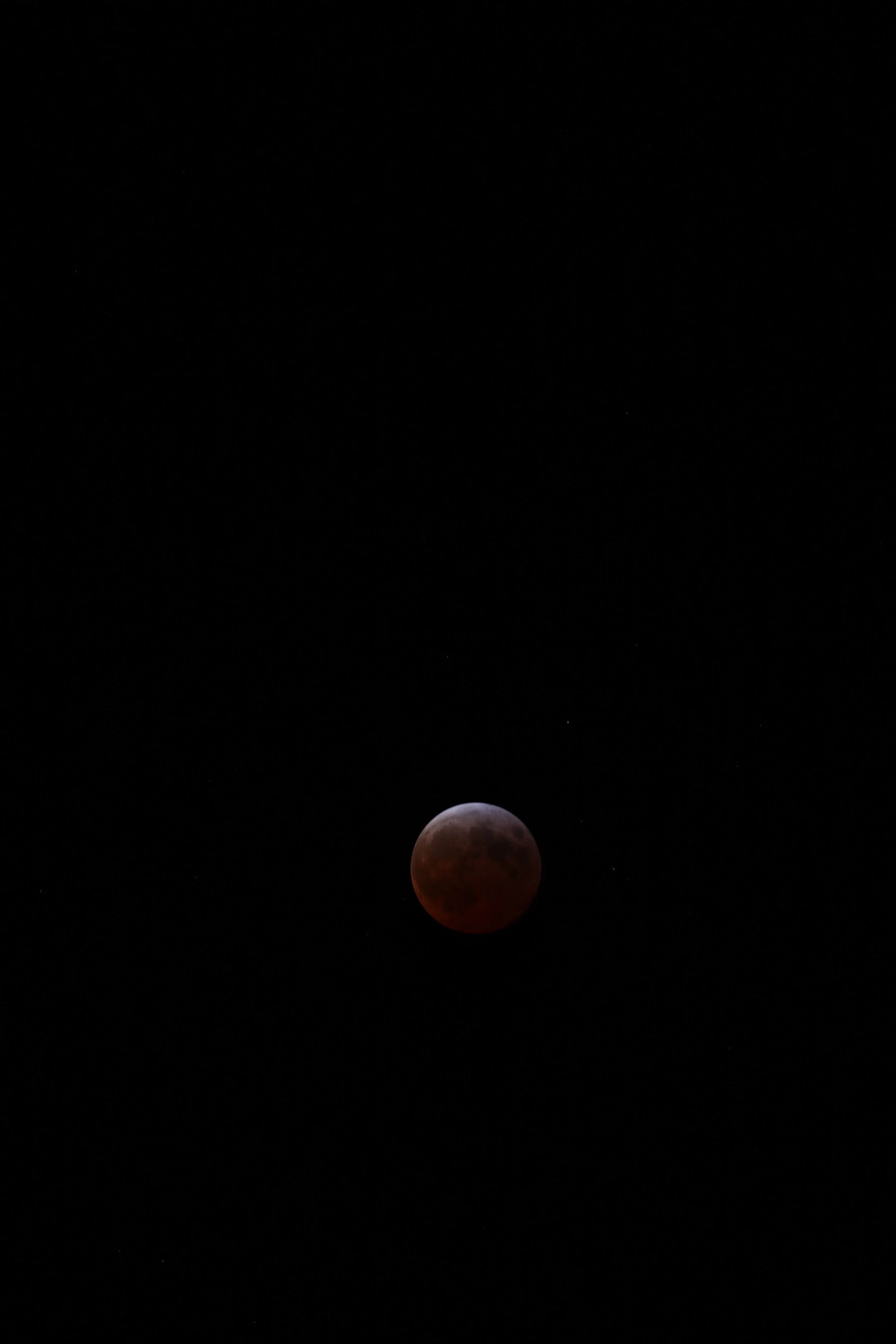 Lunar Eclipse 3-2025
