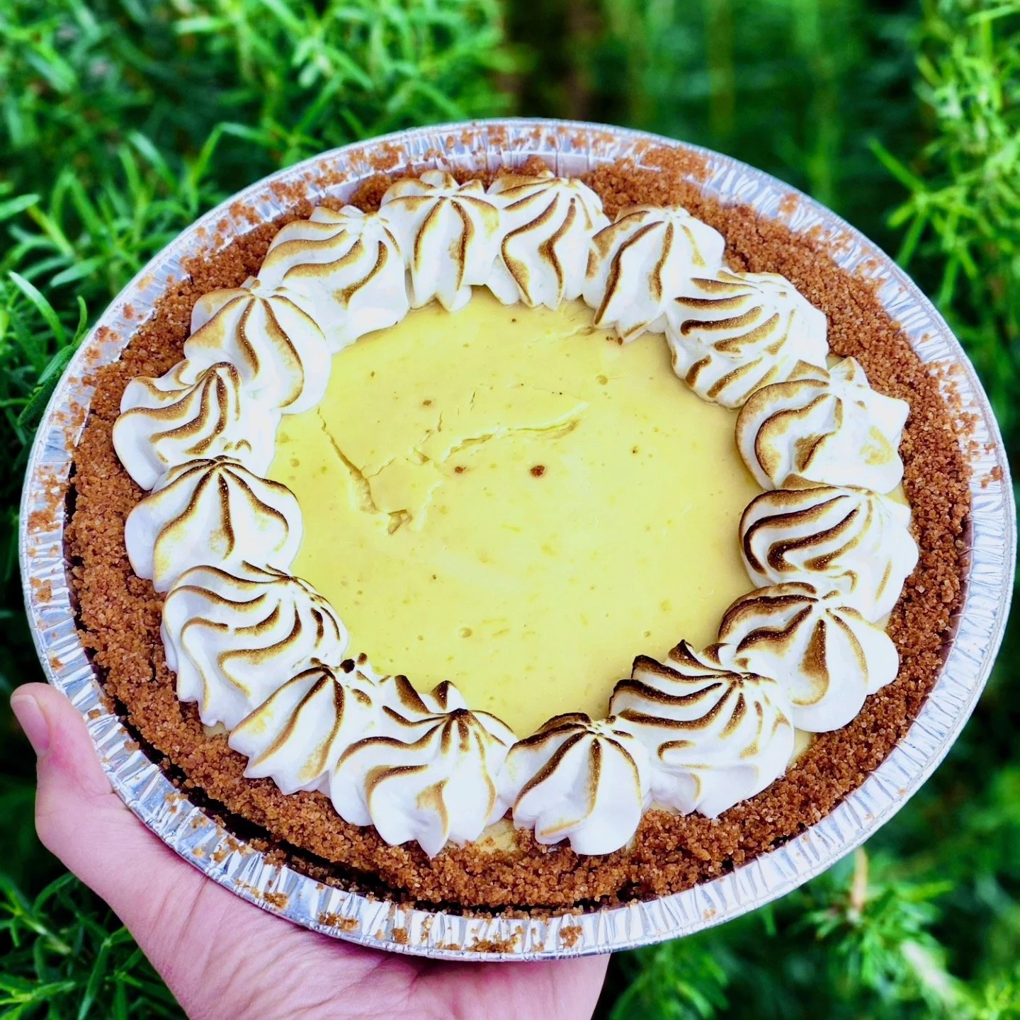 Key Lime Pie (Pi Day 2024).jpeg