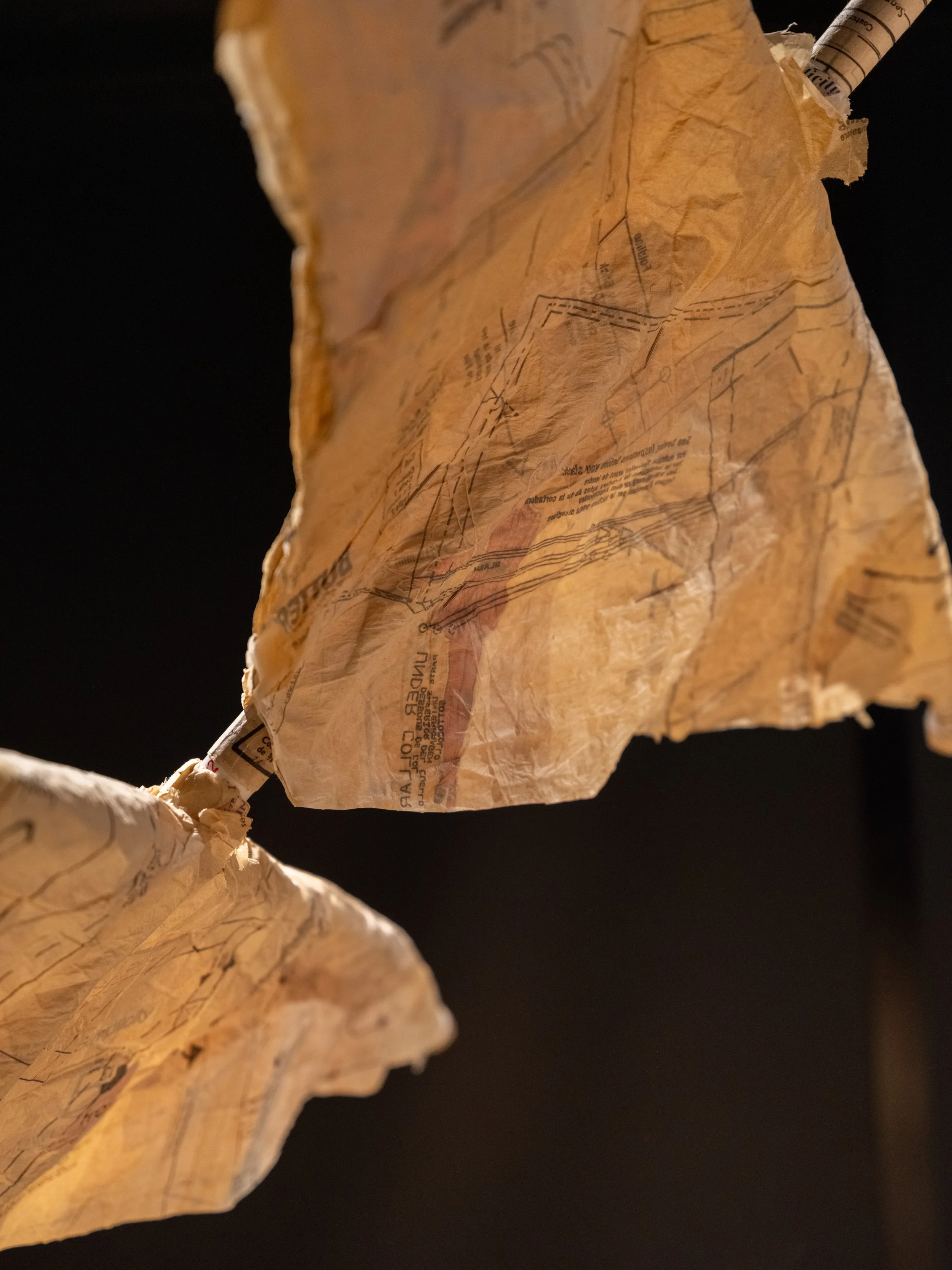 stop-loss charlie akajie web-11.JPG