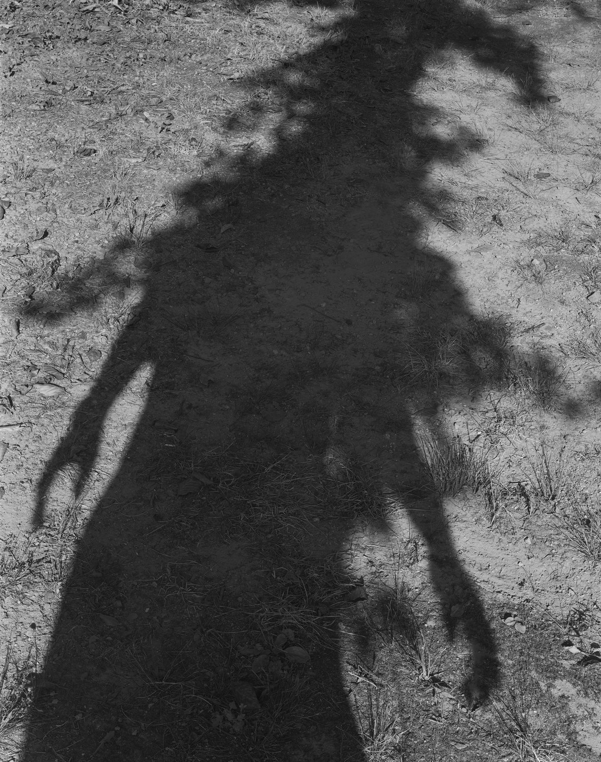 Self Portrait, Branford No.3, Connecticut