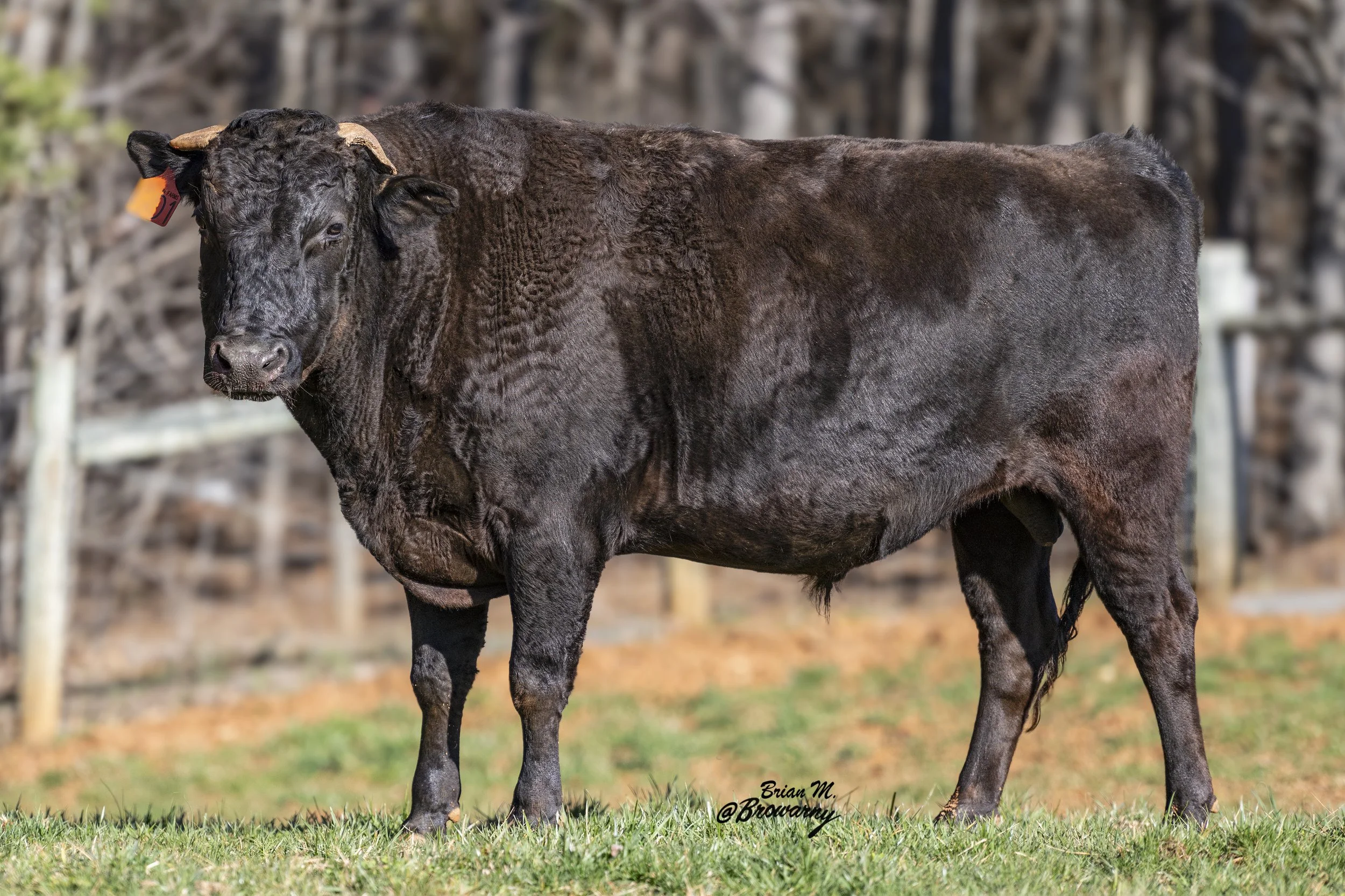 LMRFQ9677 LMR TAKAHIRO 9677G.jpeg