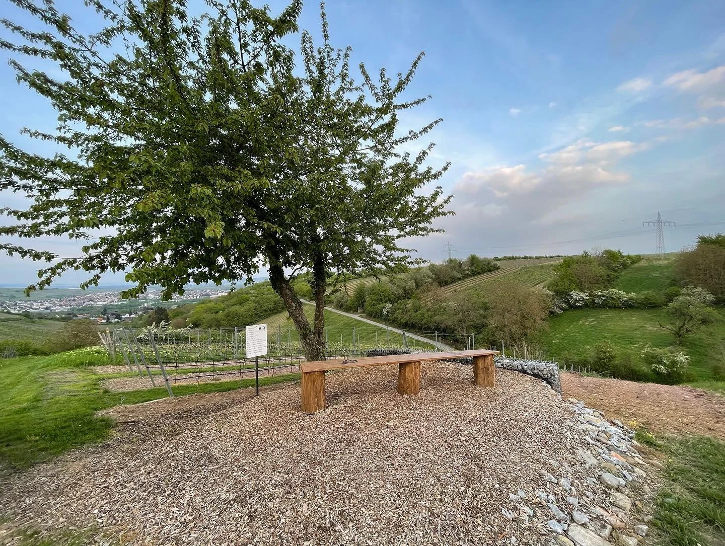 Ein Platz f&uuml;r ein leckeres Glas Wein mit guten Freunden oder um einfach mal die Seele baumeln zu lassen! 🍷#weinhausmaxguenster #weinfachgeil #wein #weinberg #wingert #riesling #wine #winzer #m&uuml;saistdergeilsteortderwelt #winetime #rieslingl