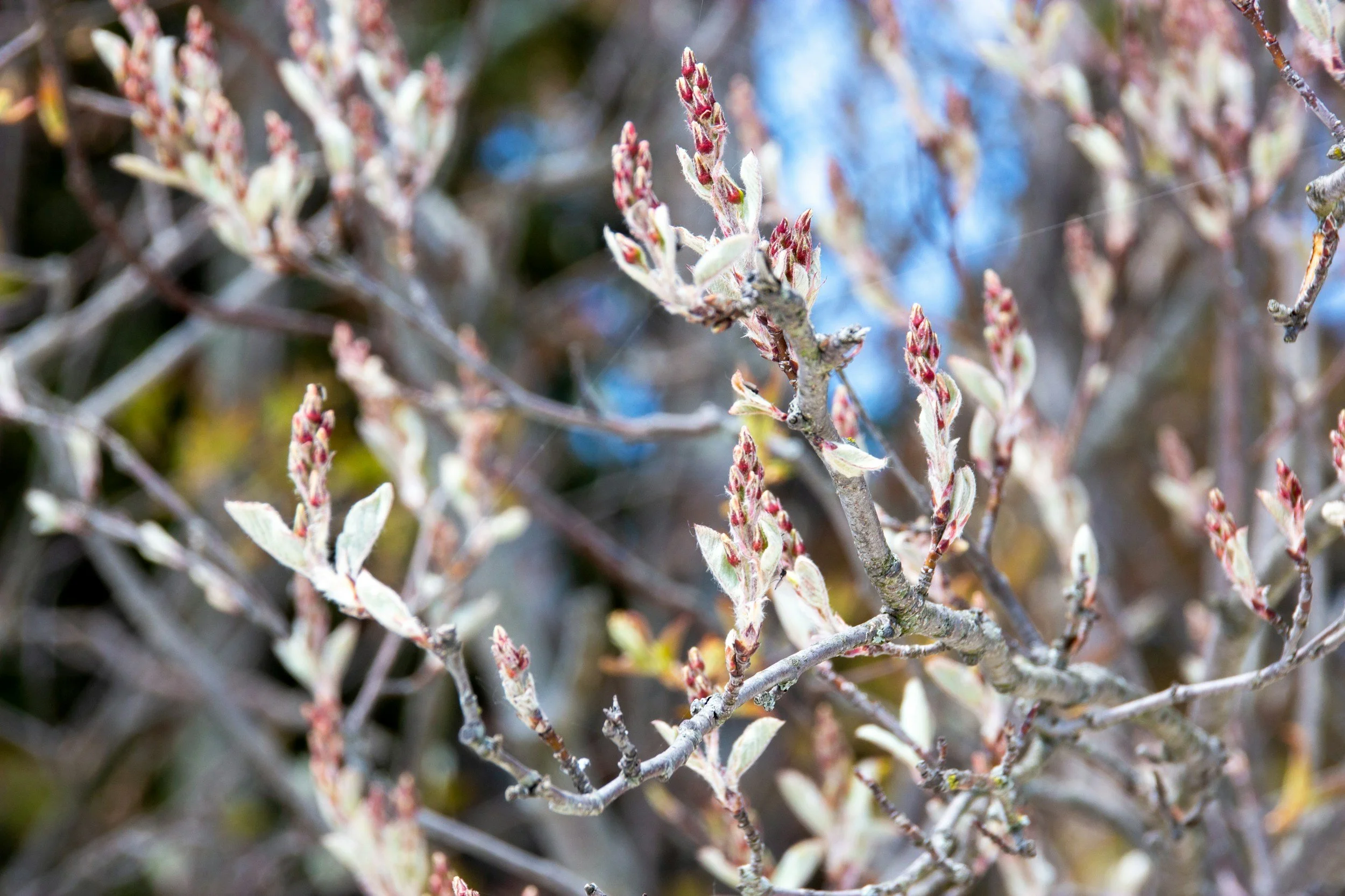 Door County, WI | How to Prepare Your Business for a Strong Summer