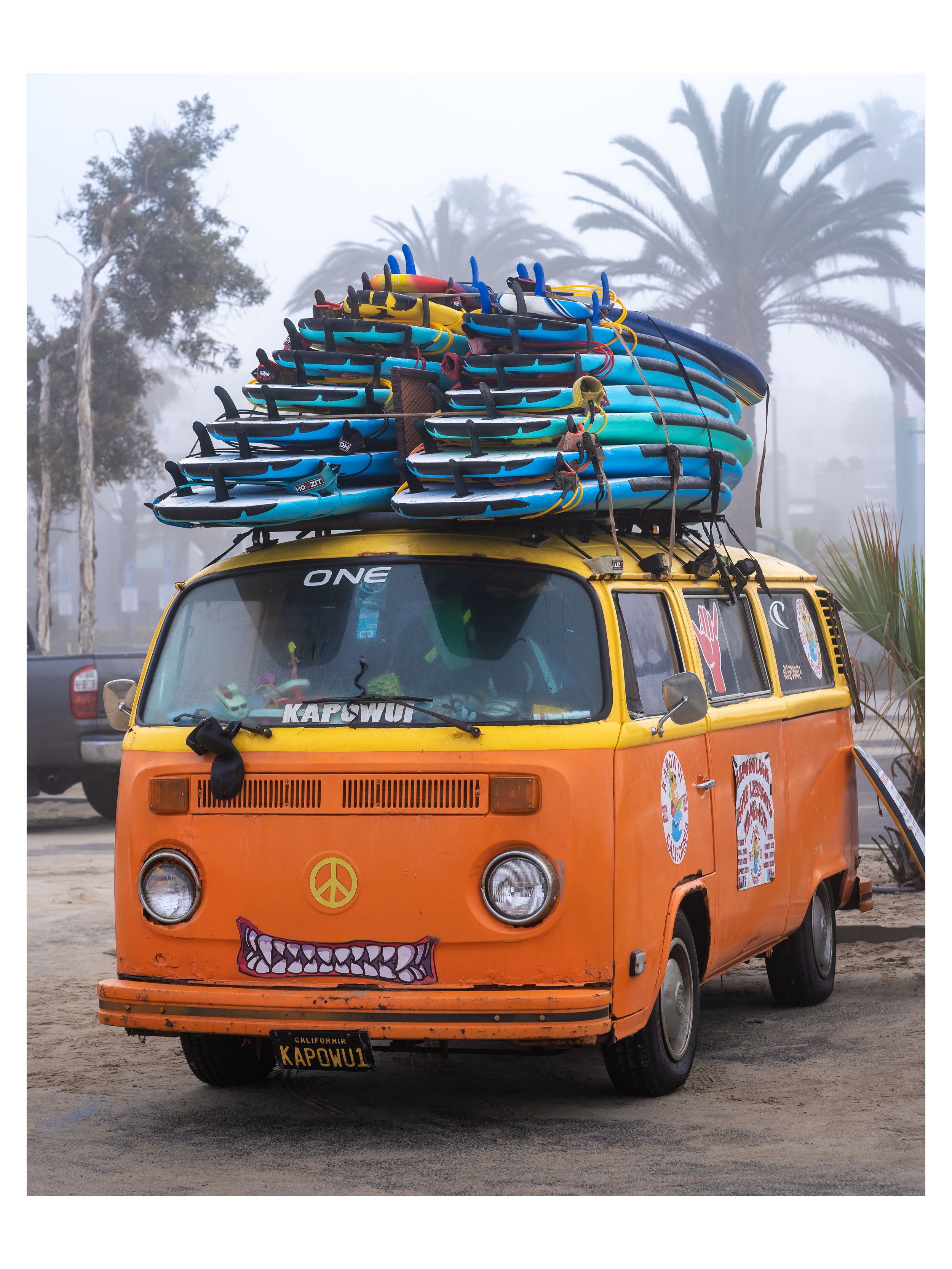 print-thumbnail-la-venice-van.jpg
