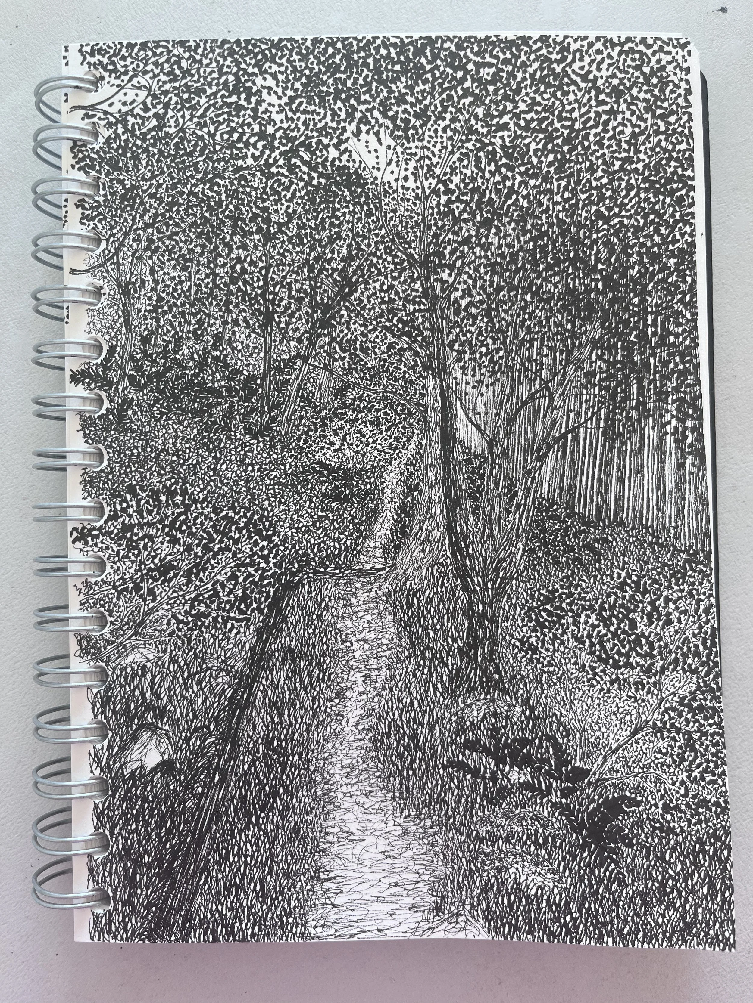 Sketchbook Practice.