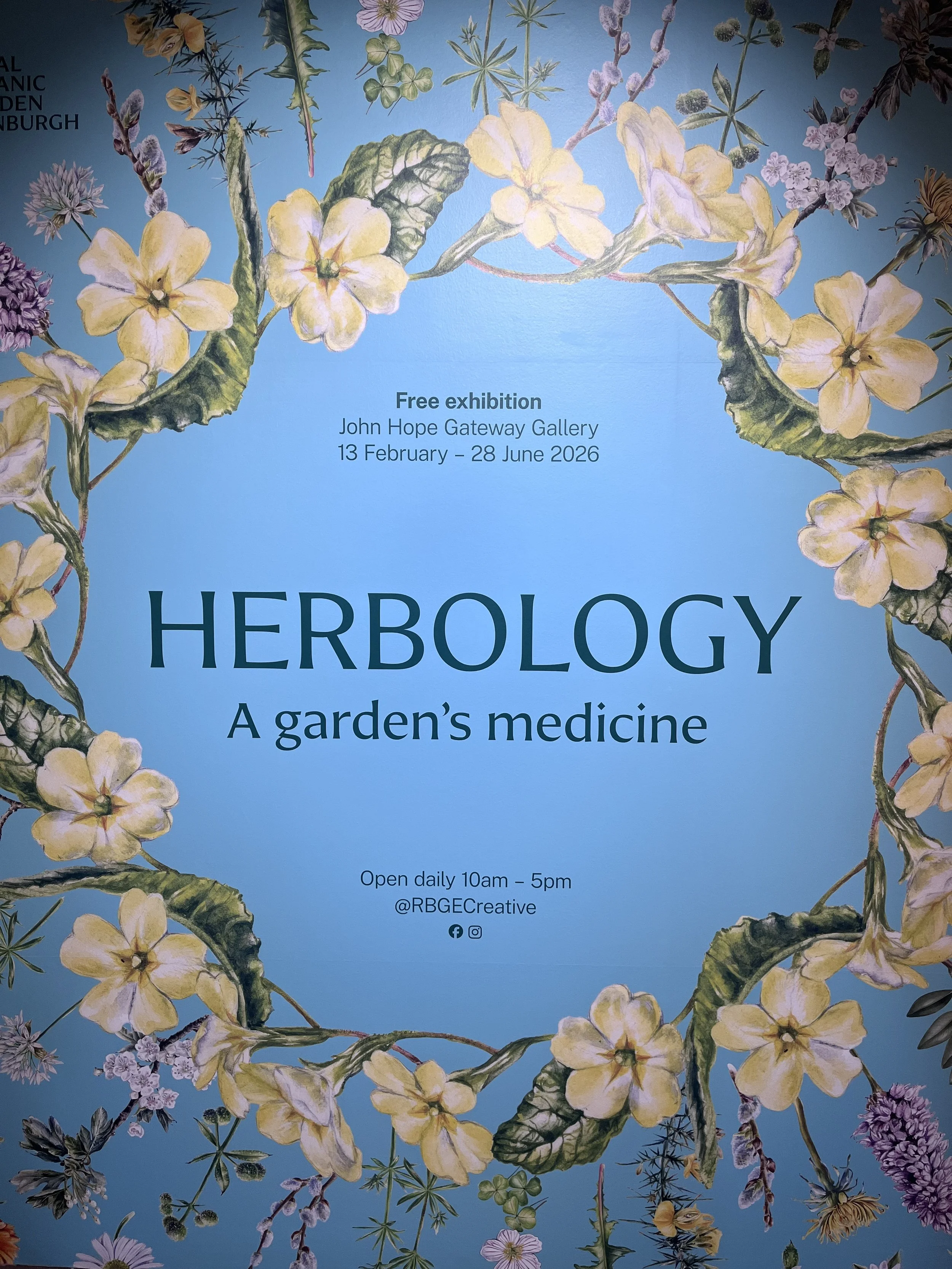 Herbology &amp; Early Spring. 
