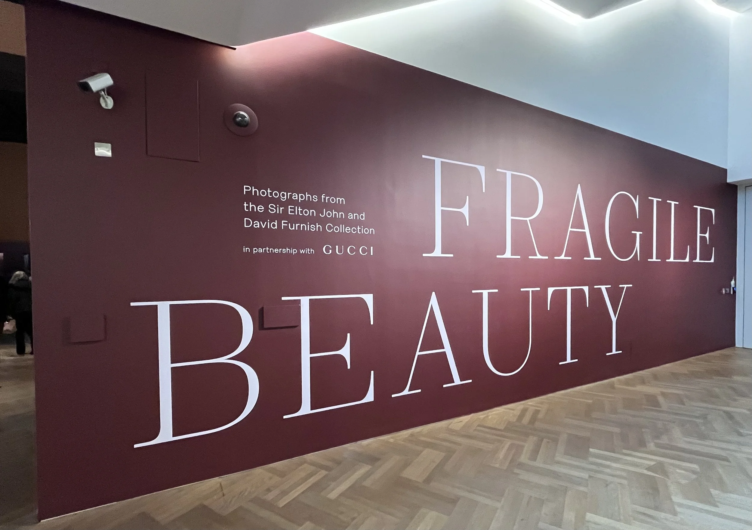 Fragile Beauty Exhibition.