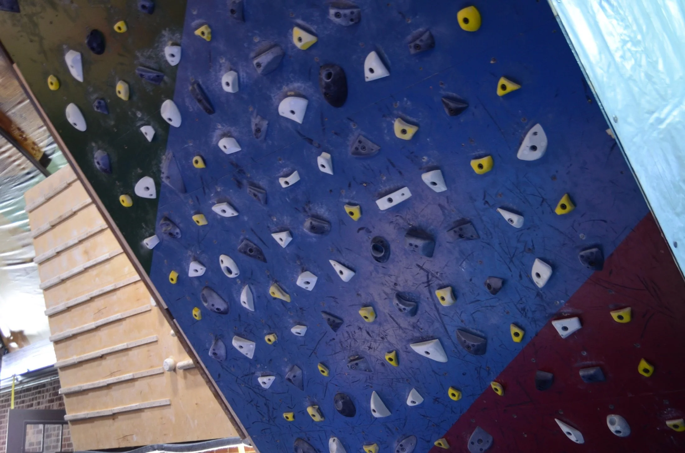 Indoor climbing wall with various holds in white, yellow, gray, and black, arranged on a blue climbing surface.