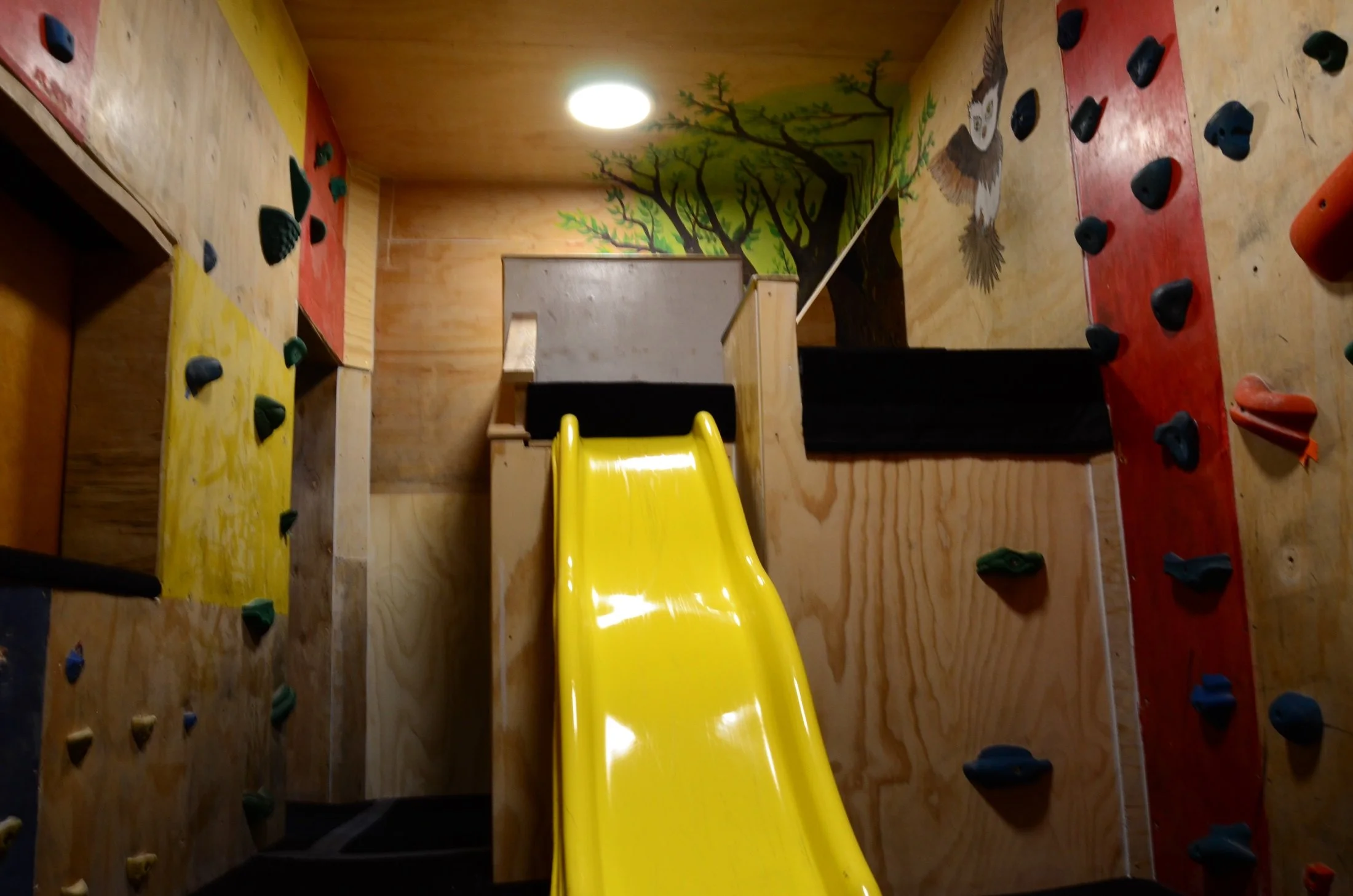 Indoor rock climbing wall with colorful holds and a yellow slide, featuring a mural of trees and a bird on the wooden wall. Climbing room for kids