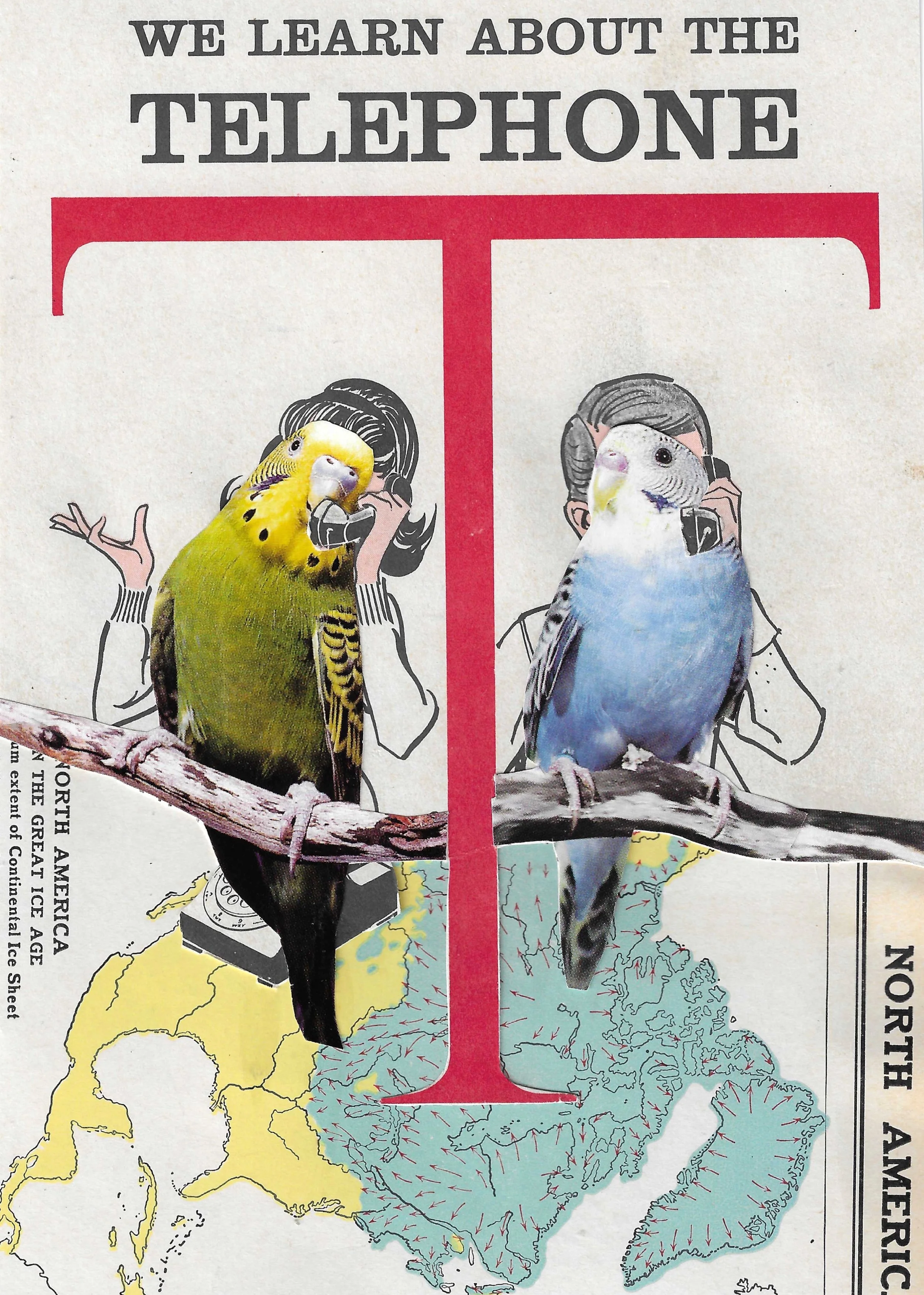 Polly Wants A Conversation