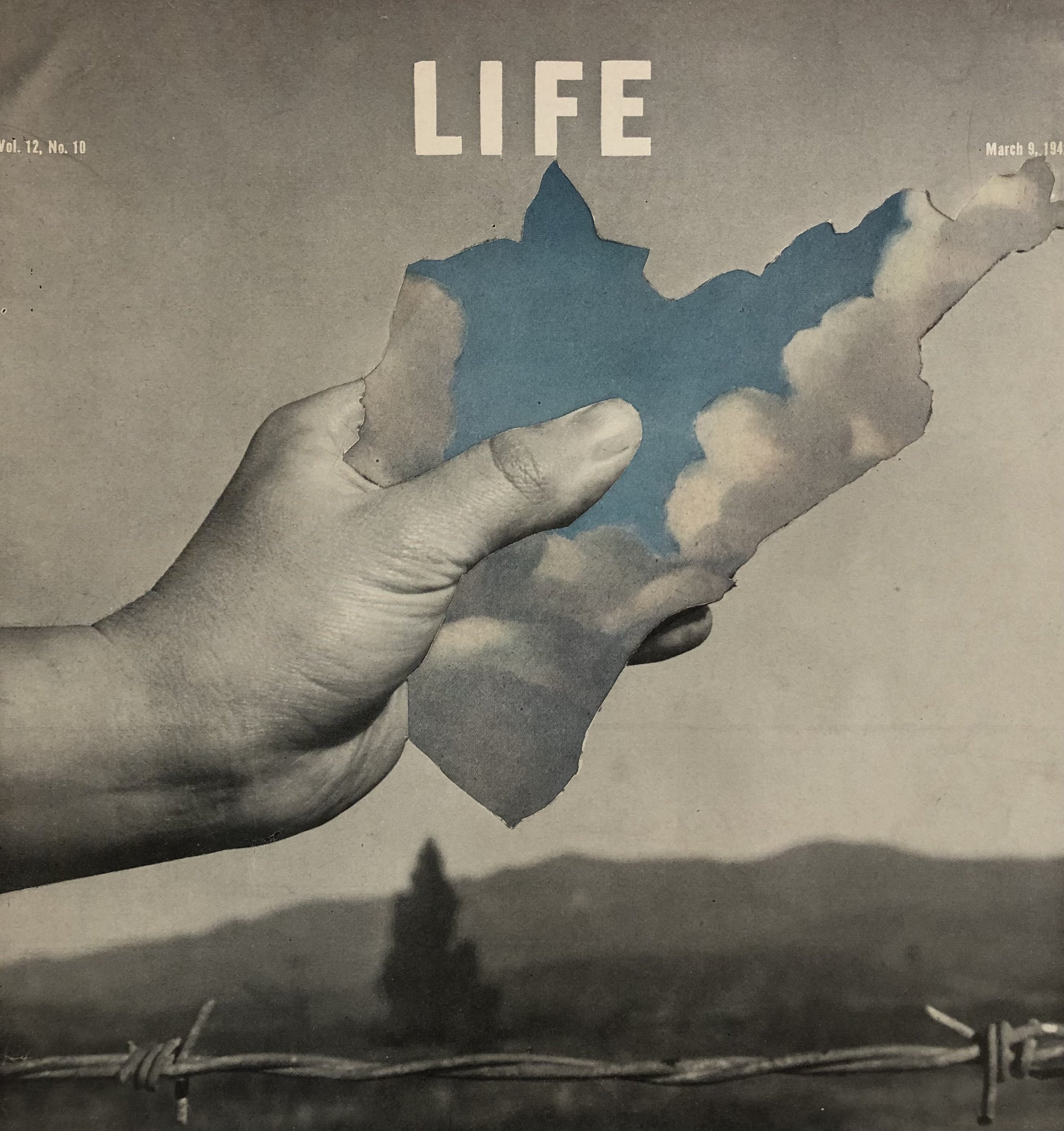 A Piece of Sky