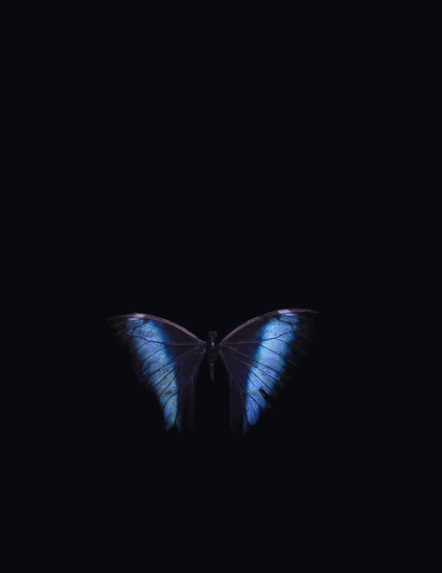 Untitled design.png.PNG