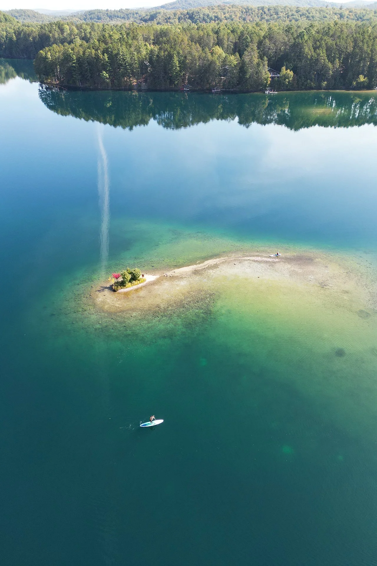 Une petite île avec des arbres et des fleurs, située au centre d'un lac clair entouré de forêts, avec une personne faisant du paddle au large.