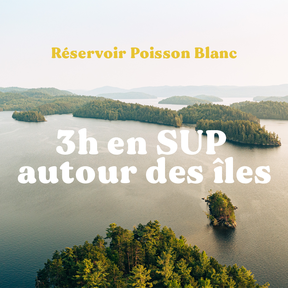 3h-RPB.png
