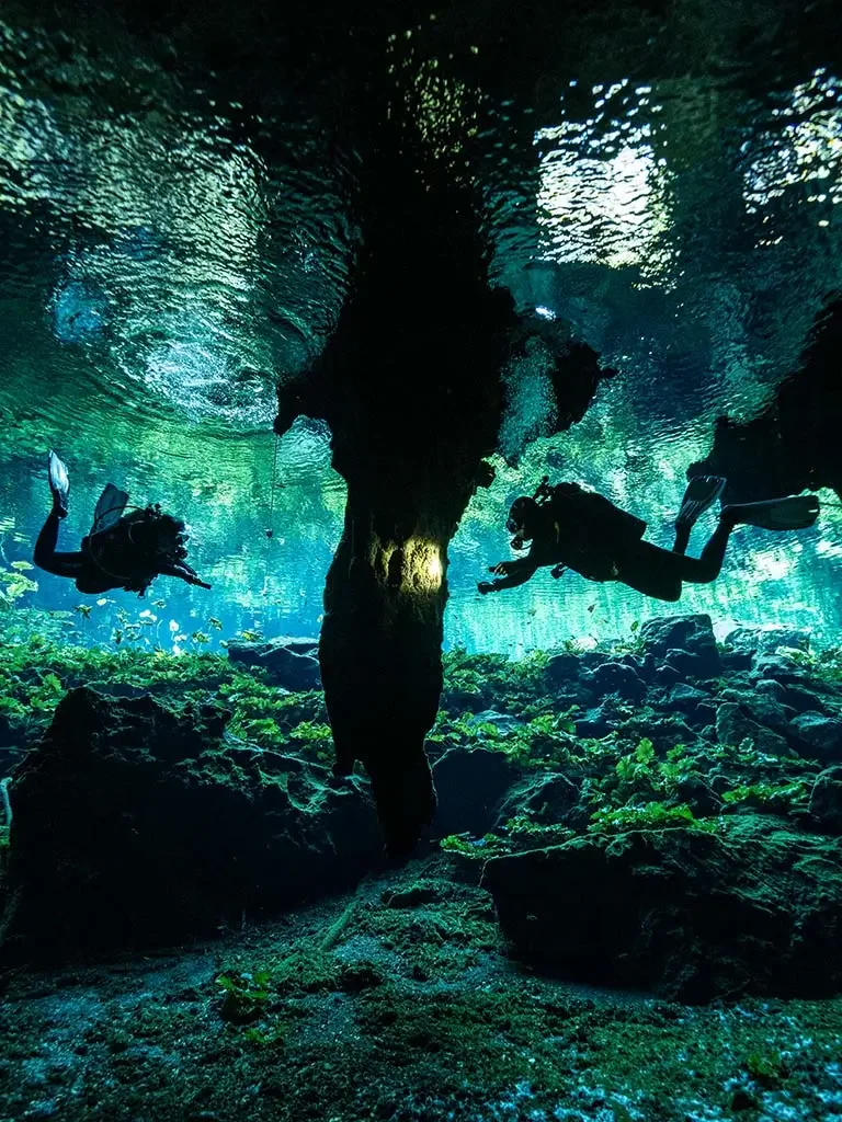 Scuba Divers in the Cenotes