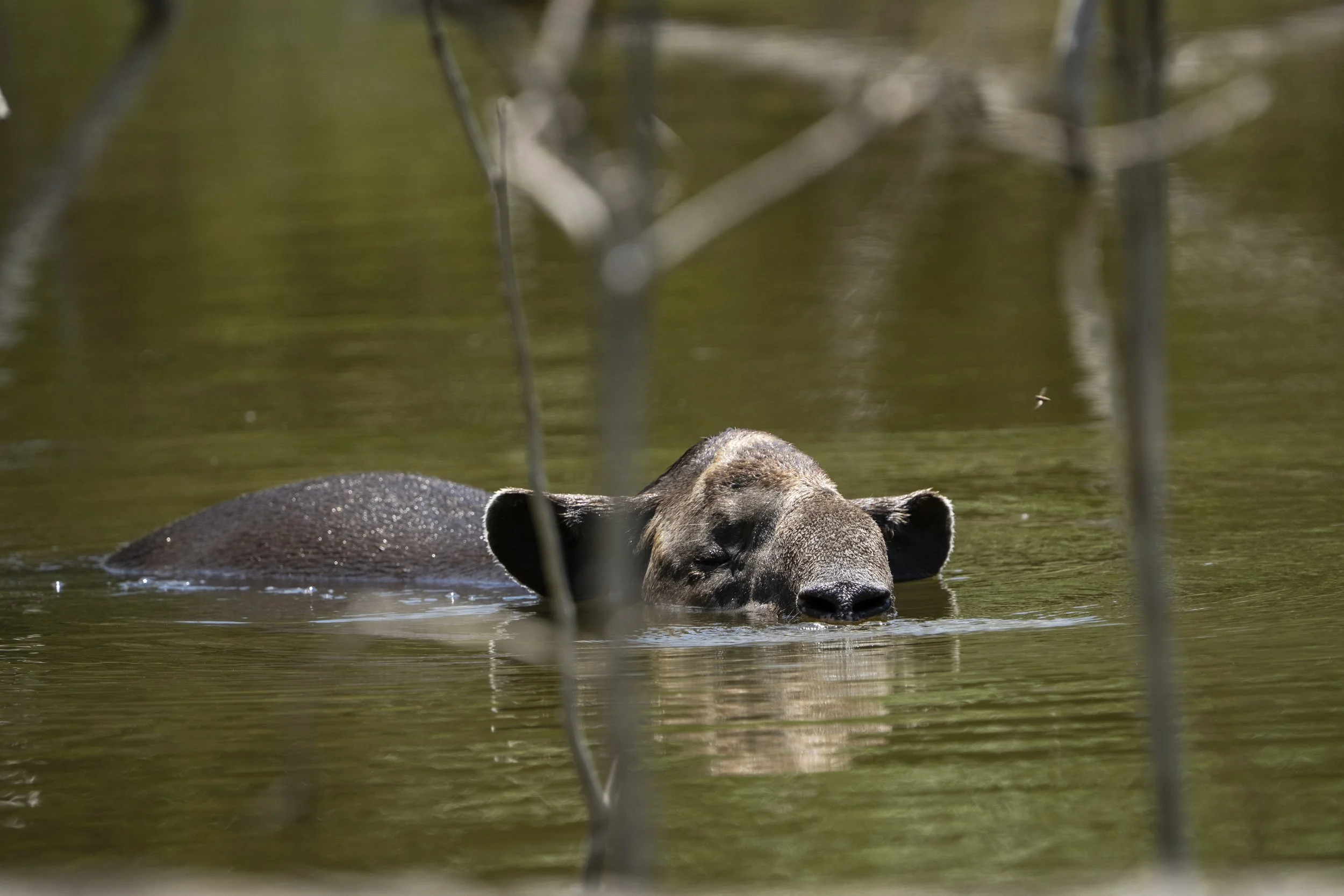 Why the Yucatán Should Be on Every Adventurer’s Bucket List