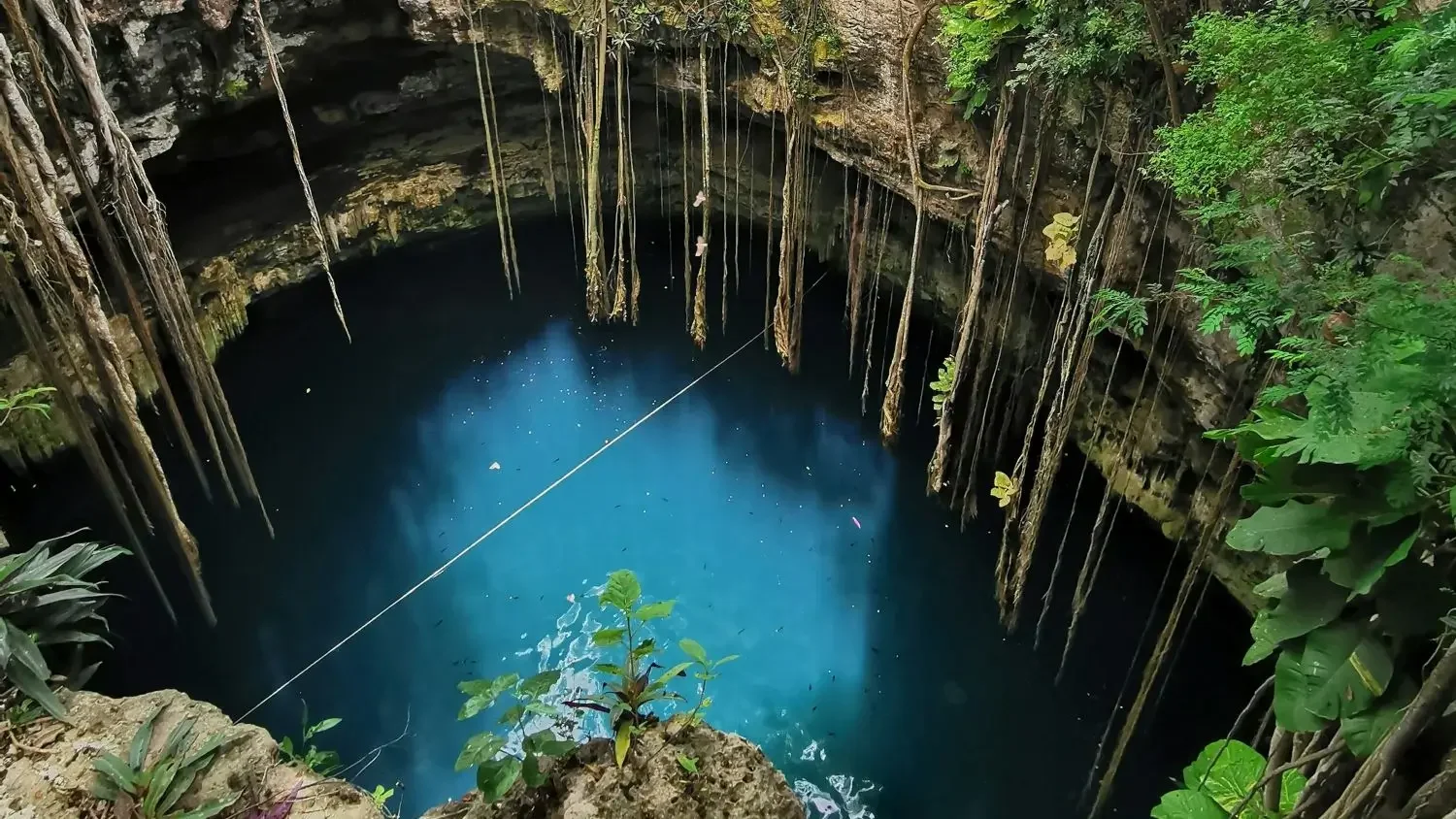 From Cenotes to Sea: Connecting Mexico’s Water Worlds