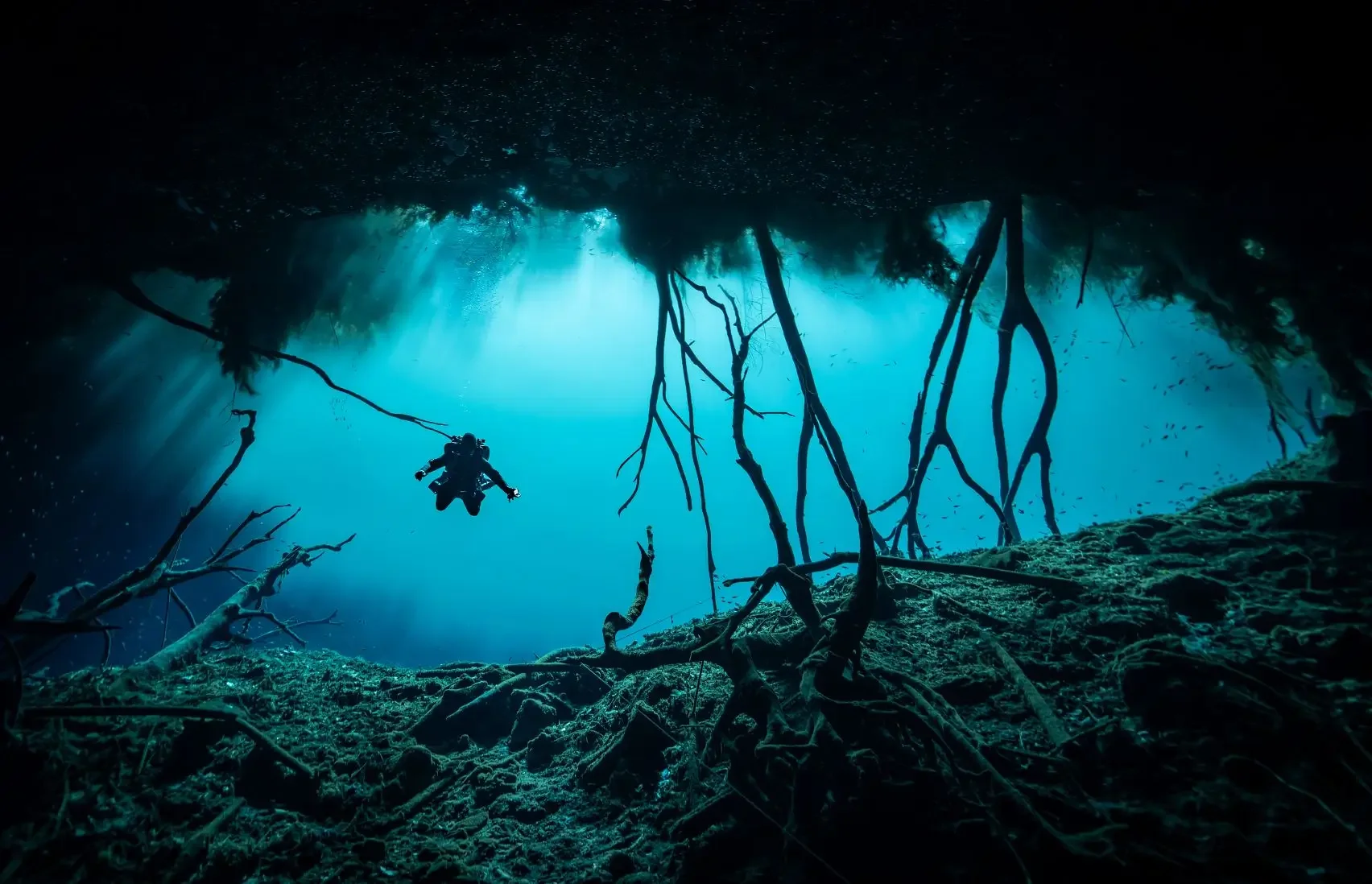 June in the Yucatan: Cenotes, Reef, and Everything in Between