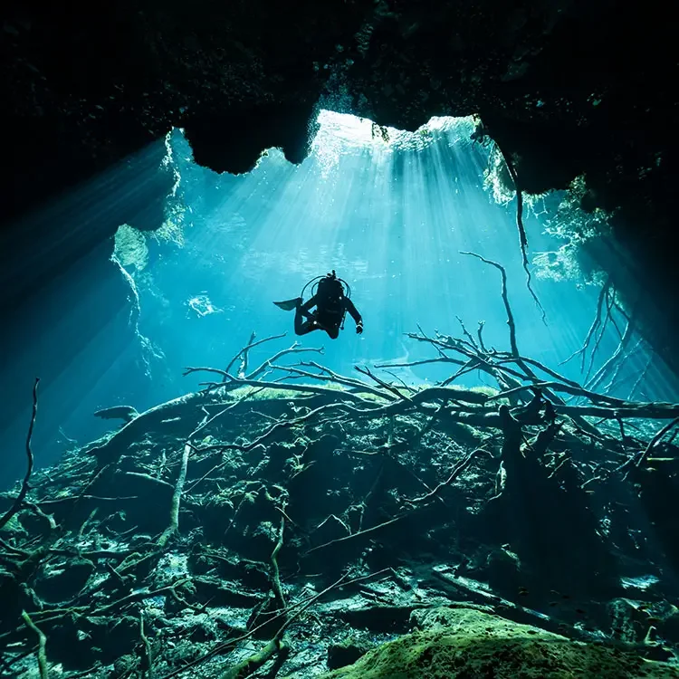 Cenotes Diving