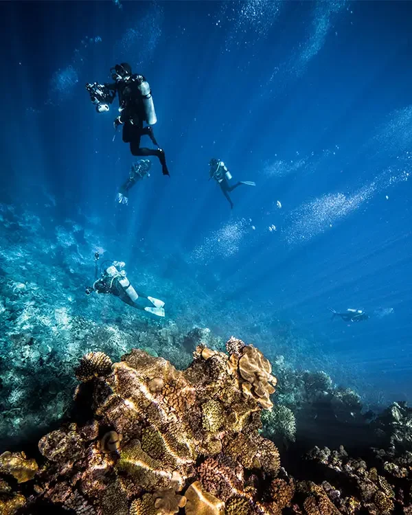 Solomons Scuba Divers