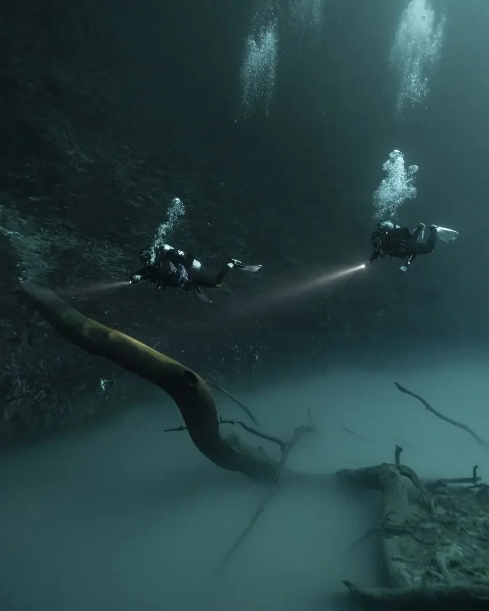 Divers cruising over a halocline in a cenote in Mexico
