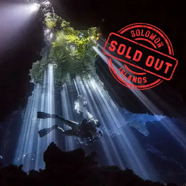 Liveaboard diving in Solomon Islands