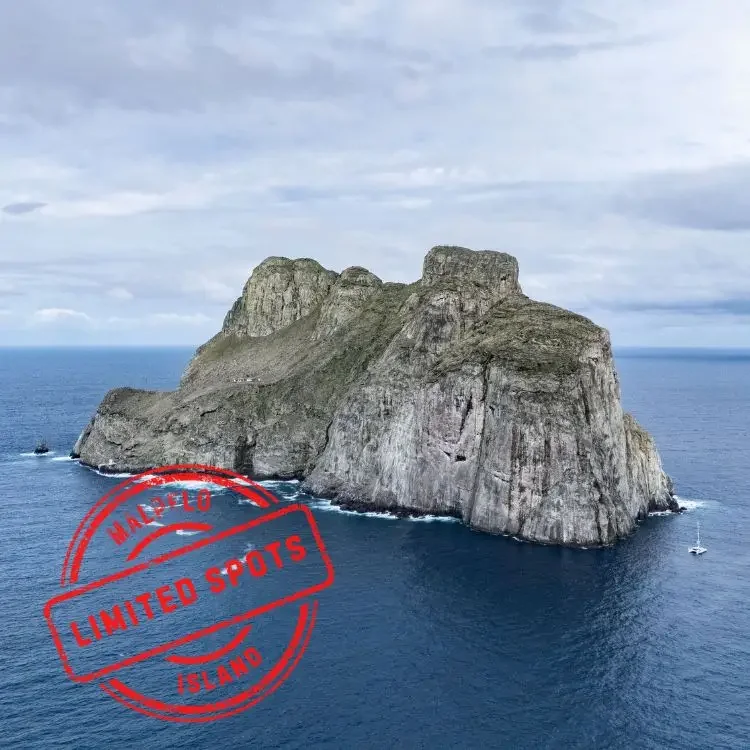 Malpelo Island Liveaboard