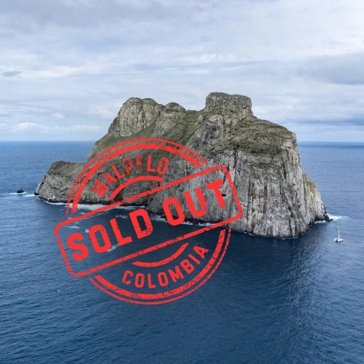 Malpelo Island Liveaboard