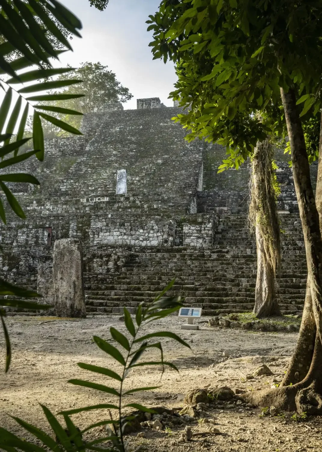 Calakmul just after sunrise, without the visitors