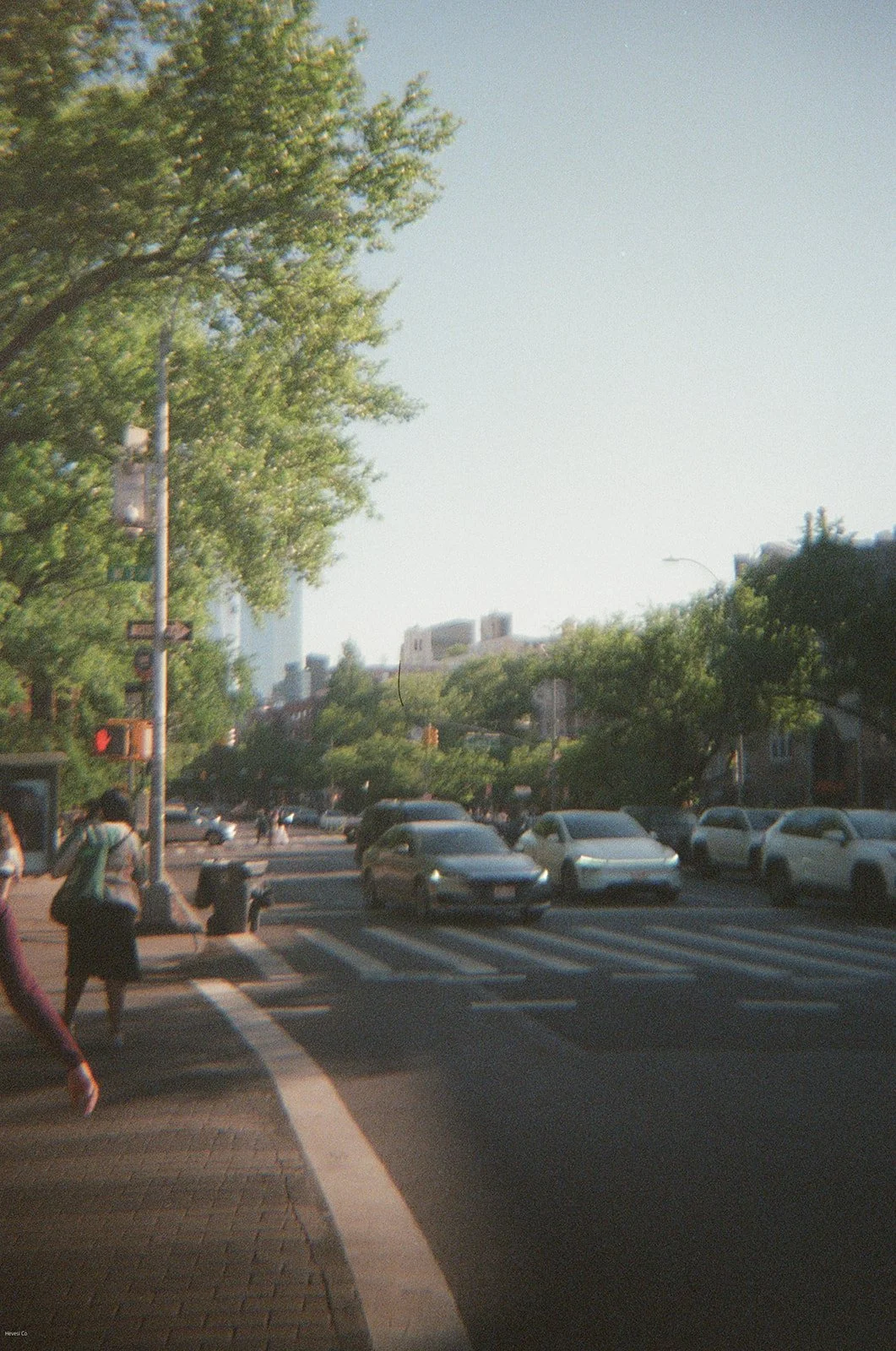 A city street scene with parked cars, pedestrians crossing the crosswalk, trees lining the sidewalk, and buildings in the background on a sunny day.