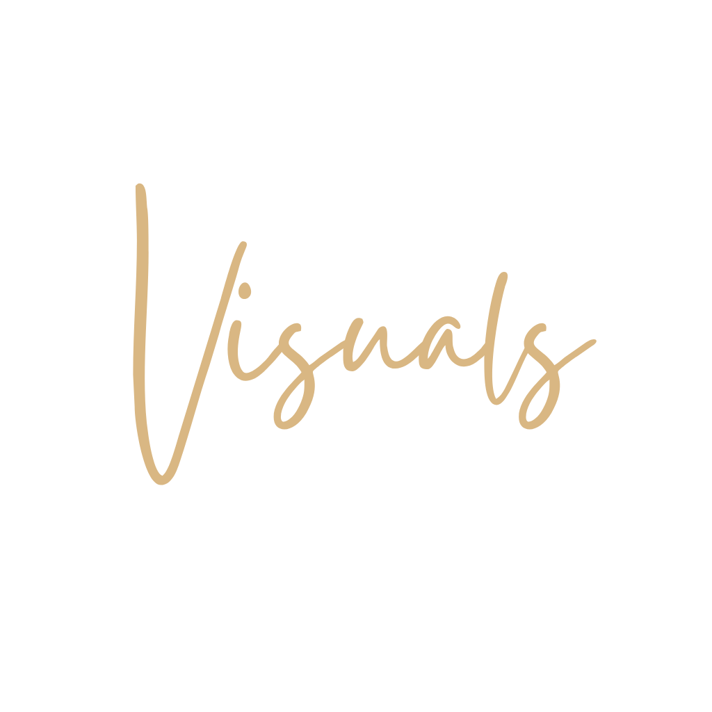 Black background with the word 'Visuals' in beige, handwritten script font.