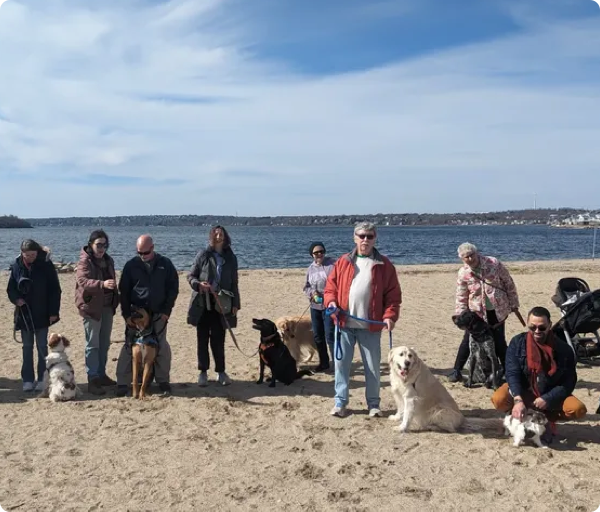 A group of pet owners and pets is smiling on the beach on a sunny day during a group class