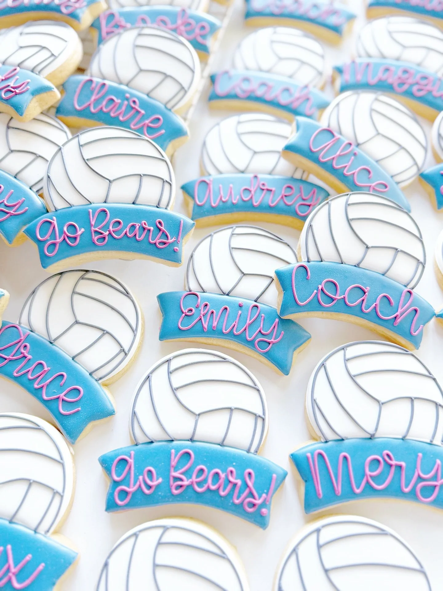 Last regular season game! Go Berkley Bears! 

#volleyballcookies #volleyballislife #volleyball #volleyballlovers #cookiesofinstagram